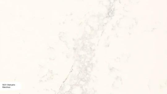 5031 Statuario Maximus