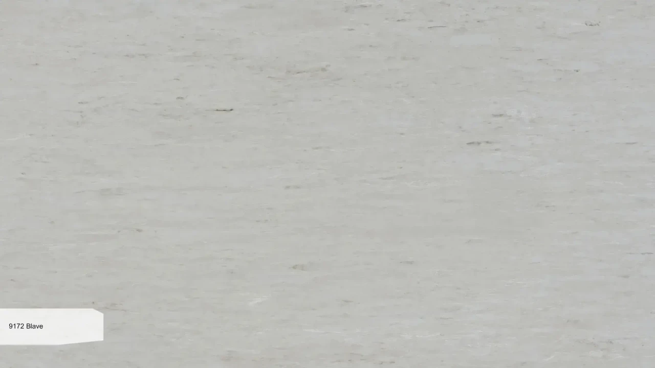 9172 Blave